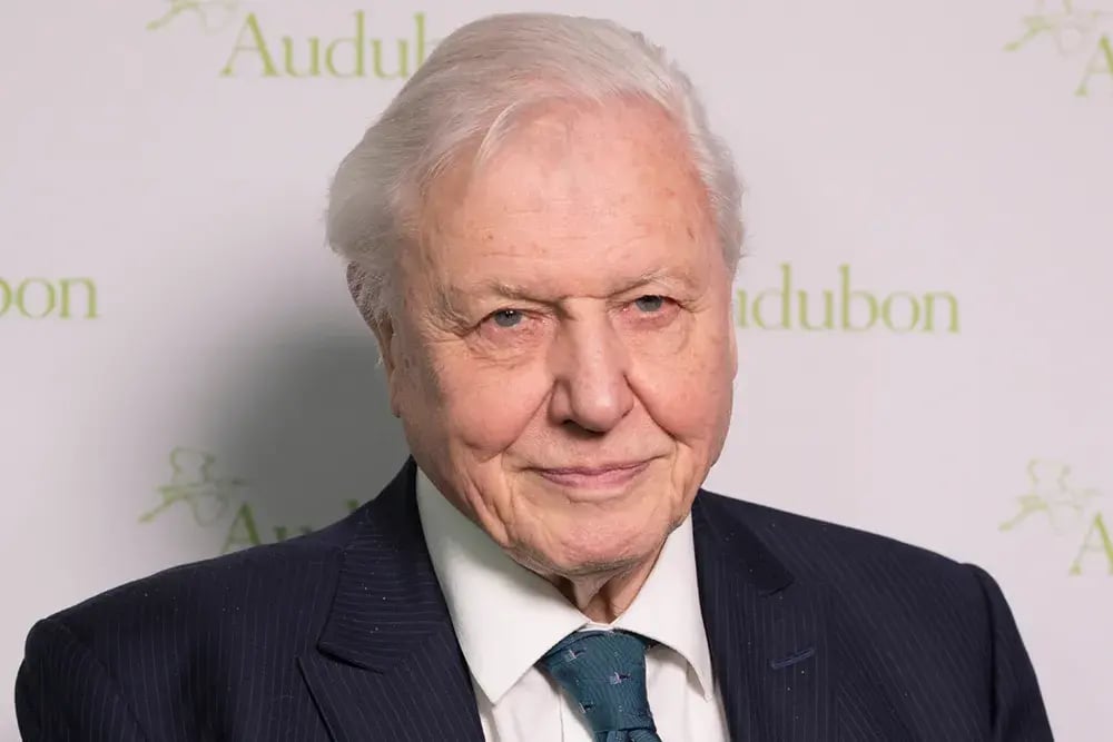 sir-david-attenborough-on-never-meet-your-heroes